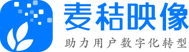 麦秸映像 LOGO