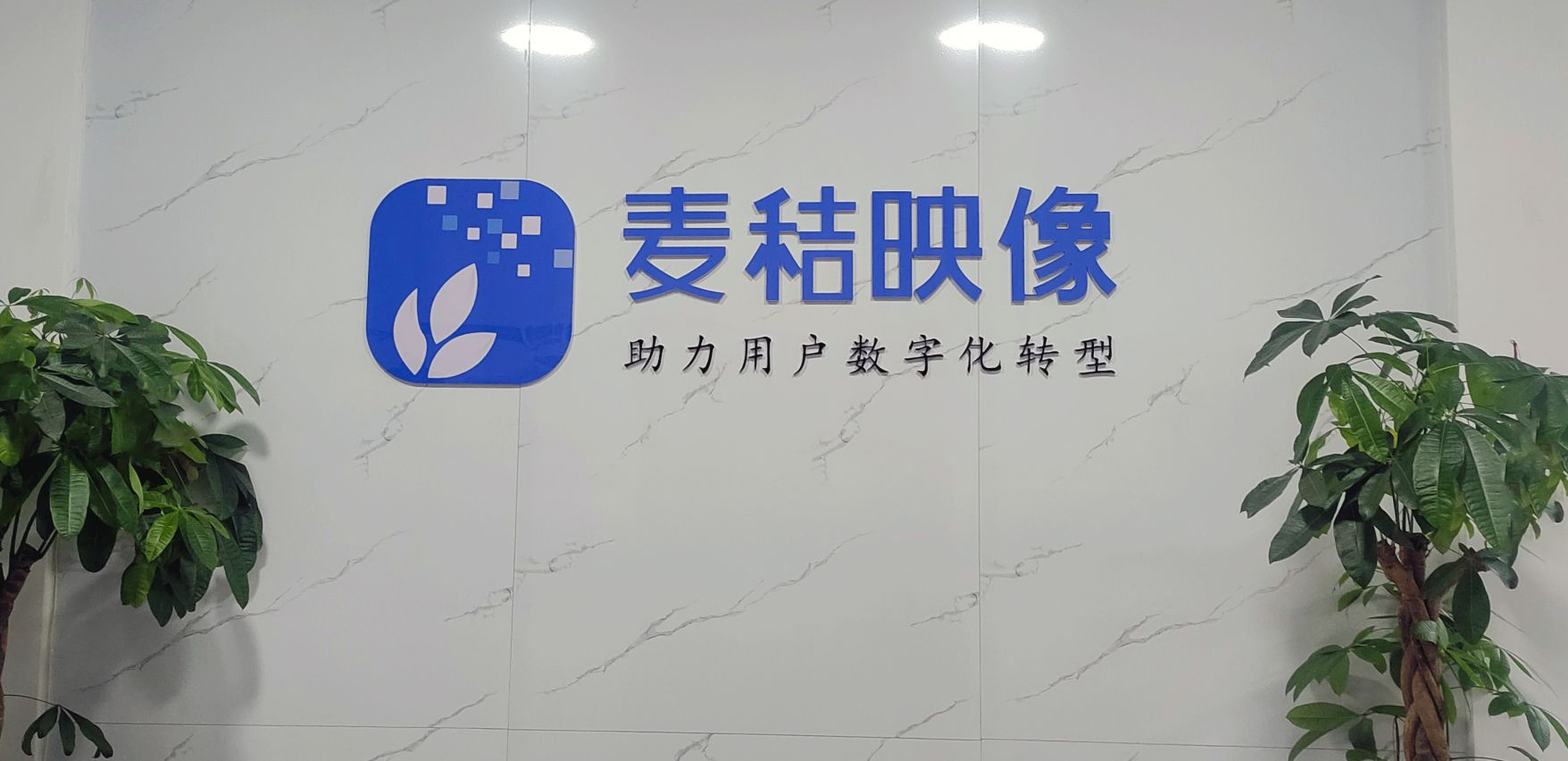 麦秸映像