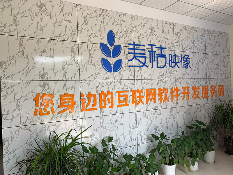 河南麦秸映像网络公司